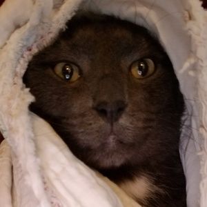 Meet your Posher, Tonya